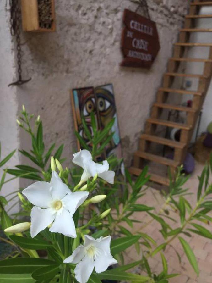 La Grange De La Batone - Bed And Breakfast Messimy-sur-Saone Bagian luar foto