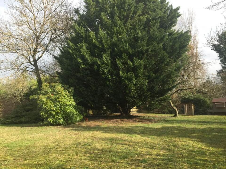 La Grange De La Batone - Bed And Breakfast Messimy-sur-Saone Bagian luar foto